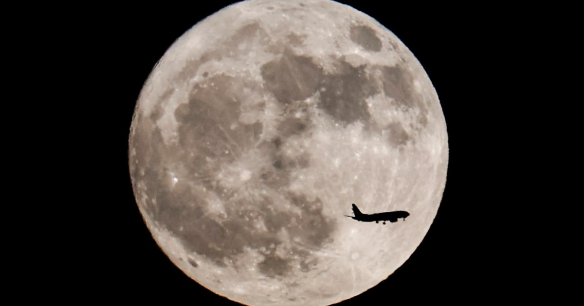 Image courtesy of media-cldnry.s-nbcnews.com