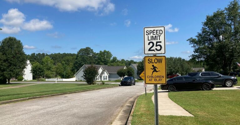 Suspect Accused of Killing Four People in Georgia Suburbs is Killed ...