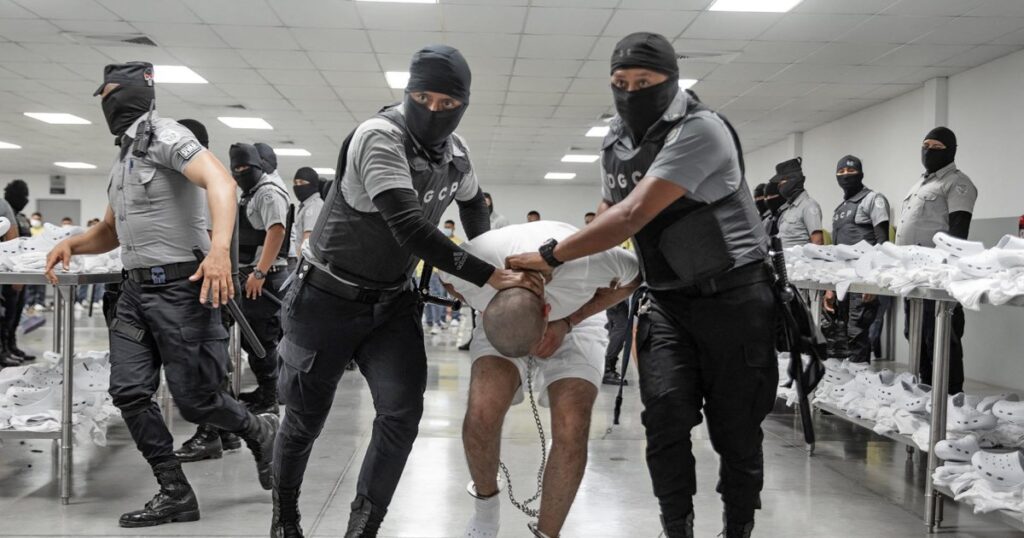 Image courtesy of media-cldnry.s-nbcnews.com