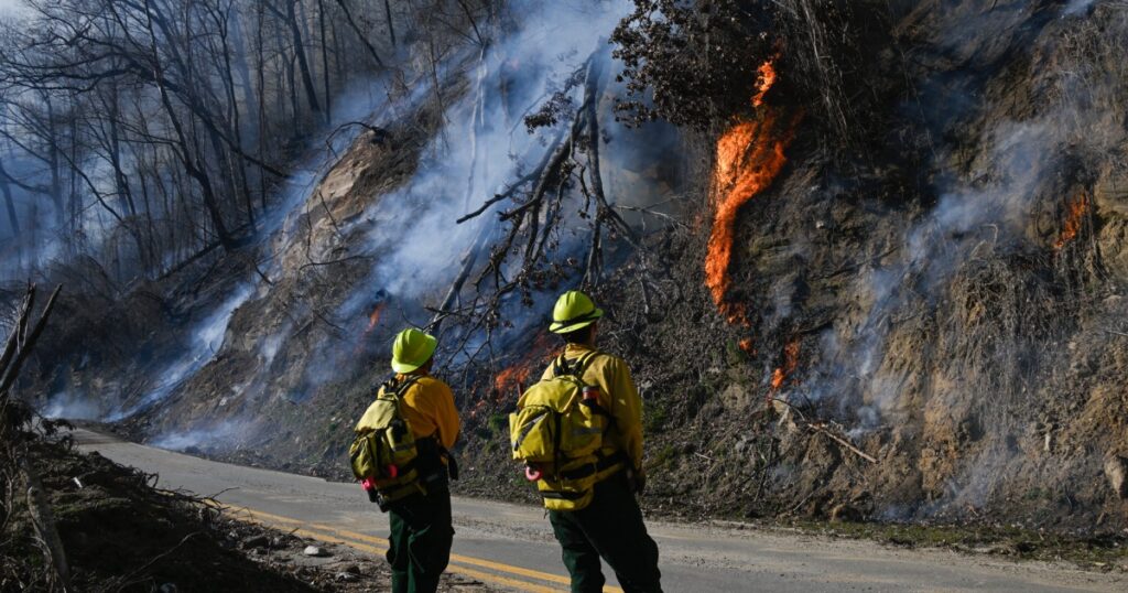 Image courtesy of media-cldnry.s-nbcnews.com