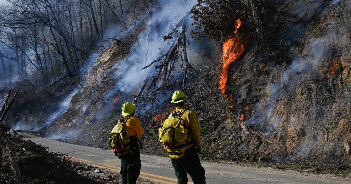 Image courtesy of media-cldnry.s-nbcnews.com