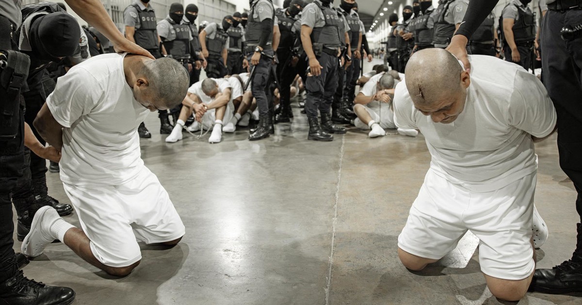 Image courtesy of media-cldnry.s-nbcnews.com