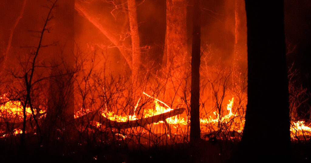 Image courtesy of media-cldnry.s-nbcnews.com