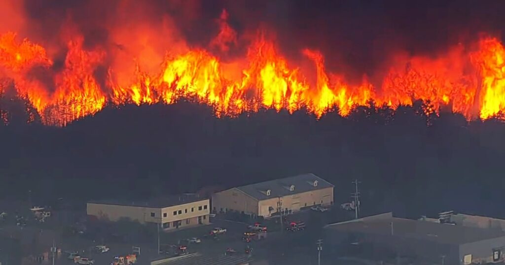 Image courtesy of media-cldnry.s-nbcnews.com