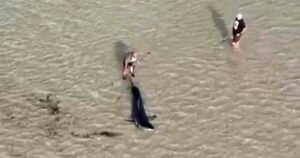 Image courtesy of media-cldnry.s-nbcnews.com