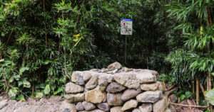 Image courtesy of media-cldnry.s-nbcnews.com