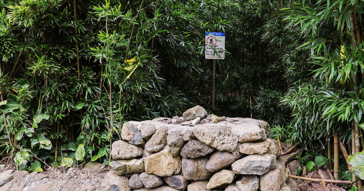 Image courtesy of media-cldnry.s-nbcnews.com