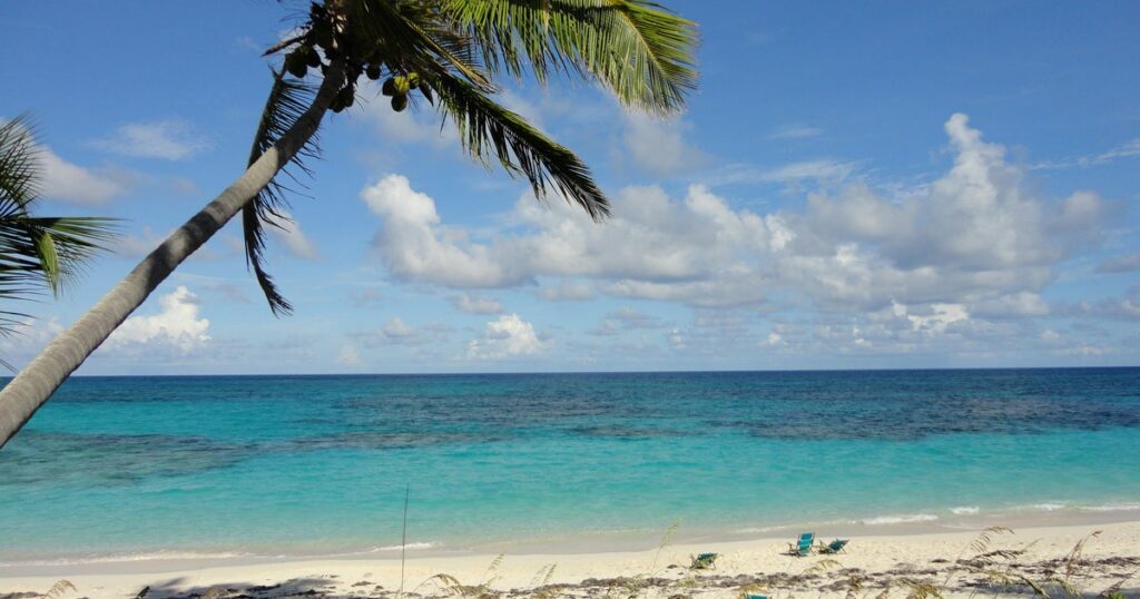 Image courtesy of assets3.cbsnewsstatic.com