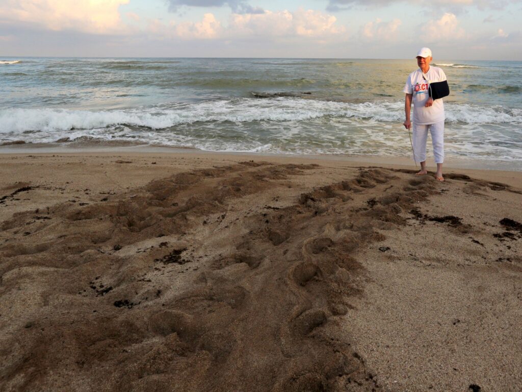 Image courtesy of www.aljazeera.com
