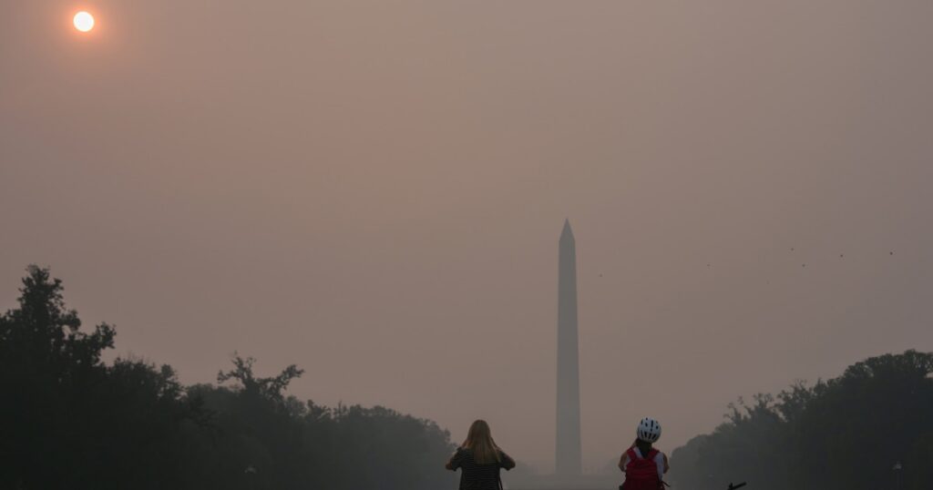 Image courtesy of media-cldnry.s-nbcnews.com