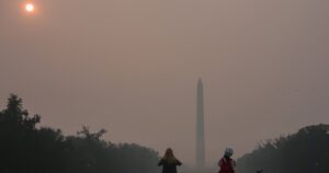 Image courtesy of media-cldnry.s-nbcnews.com
