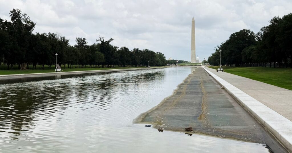 Image courtesy of media-cldnry.s-nbcnews.com
