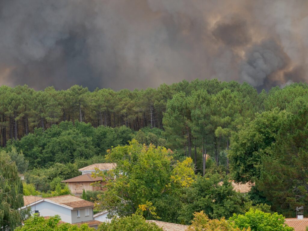 Image courtesy of www.aljazeera.com