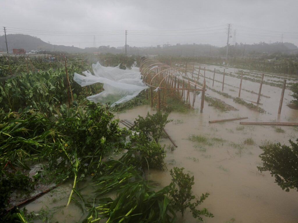 Image courtesy of www.aljazeera.com