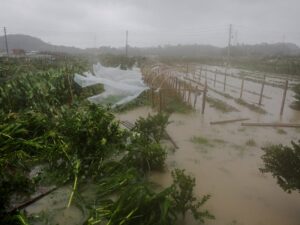 Image courtesy of www.aljazeera.com