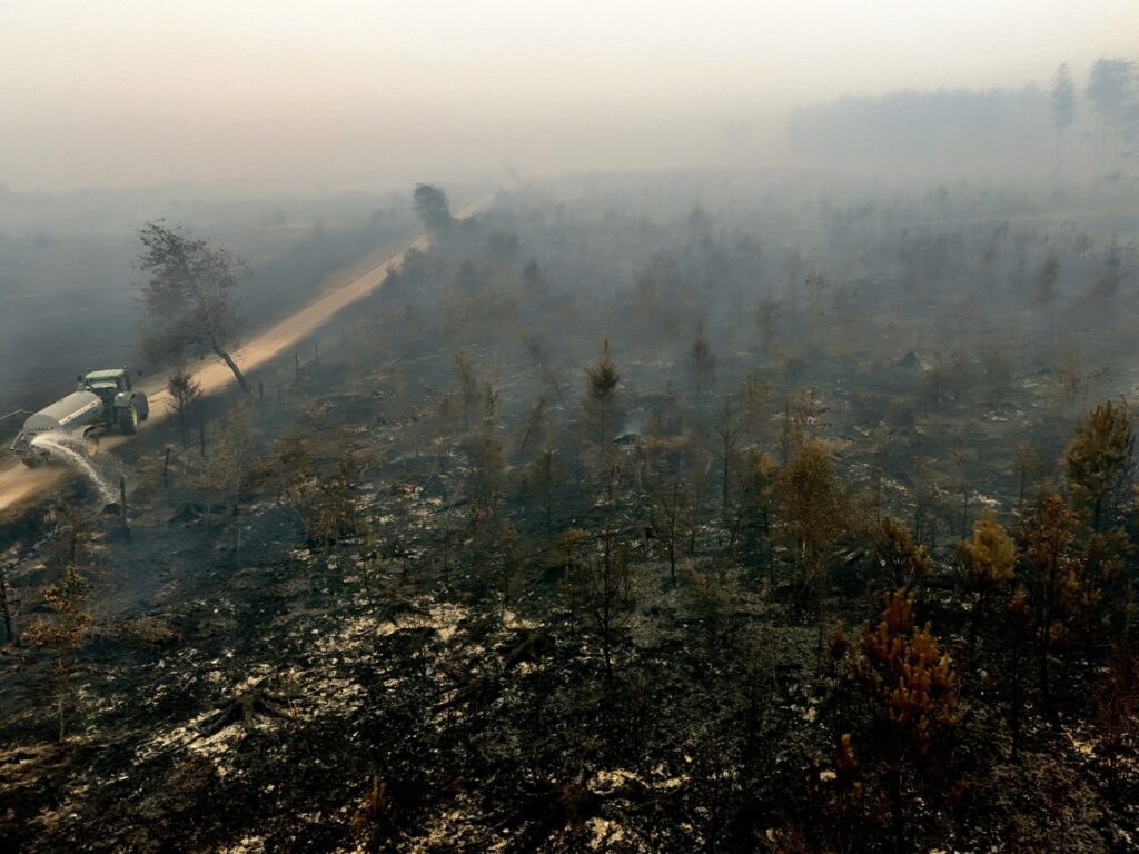 Image courtesy of www.aljazeera.com