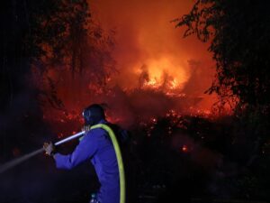 Image courtesy of www.aljazeera.com