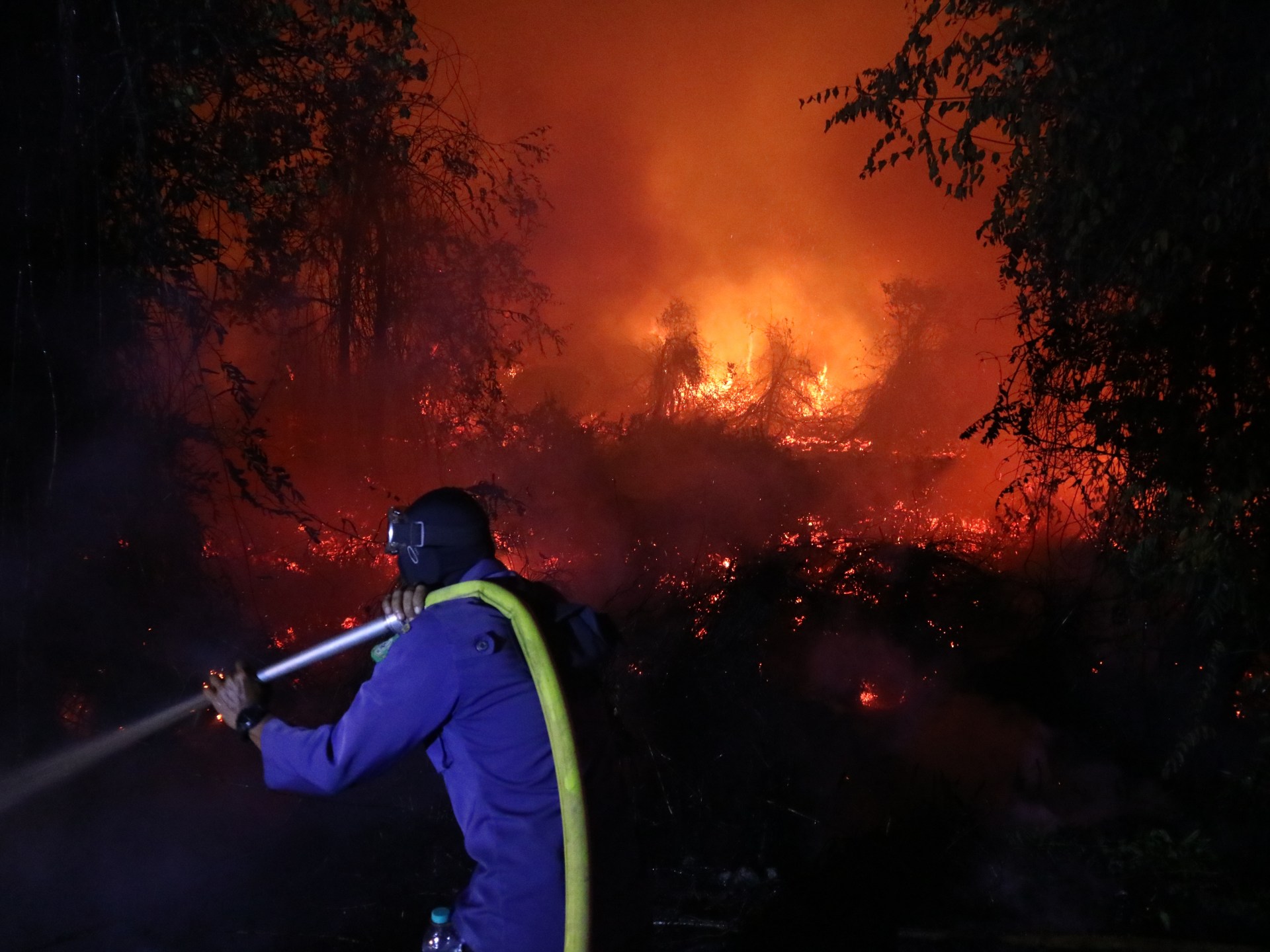Image courtesy of www.aljazeera.com