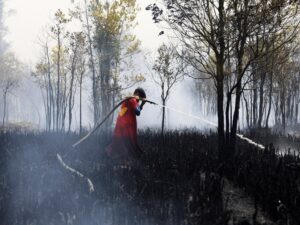 Image courtesy of www.aljazeera.com