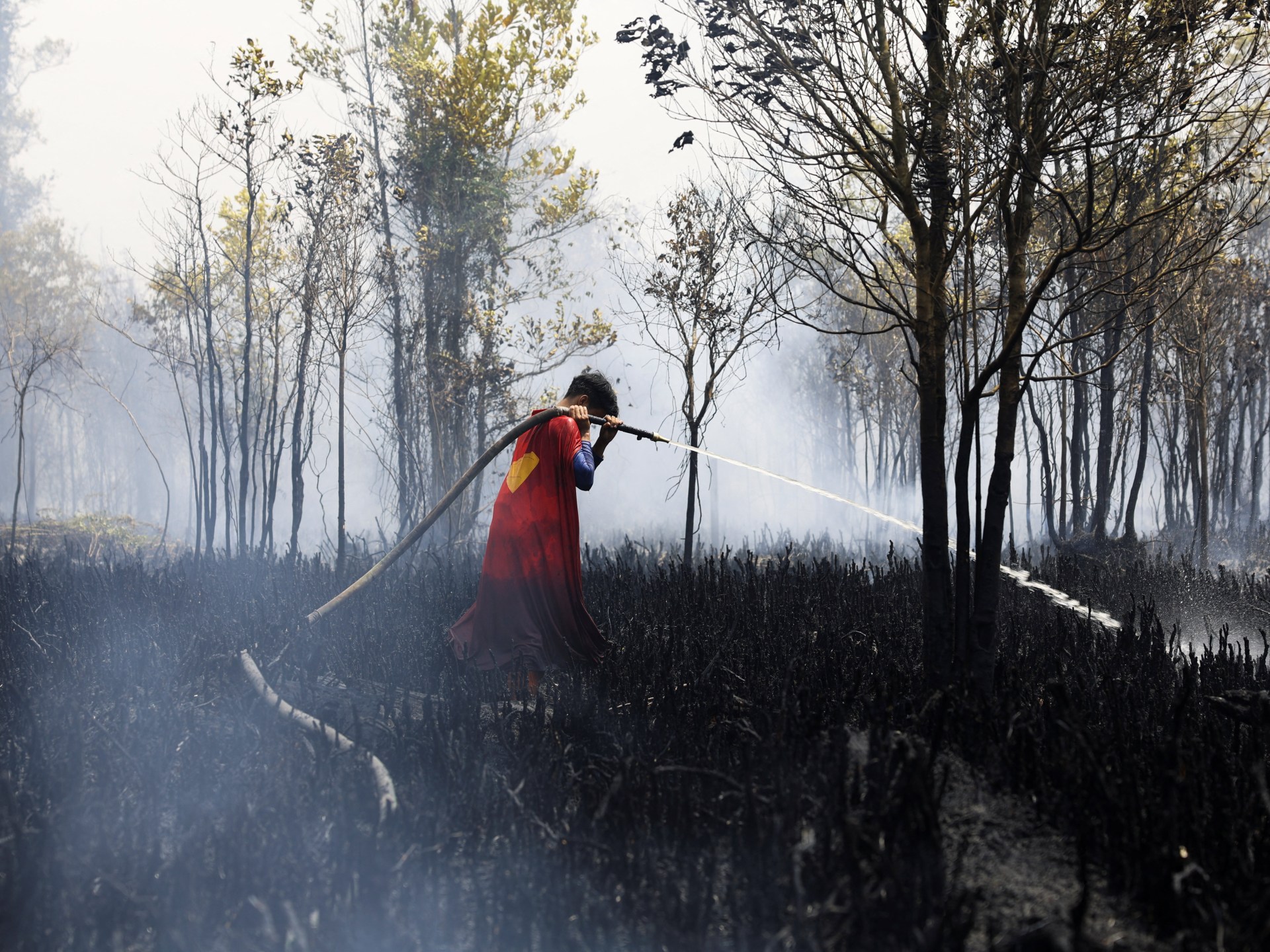 Image courtesy of www.aljazeera.com