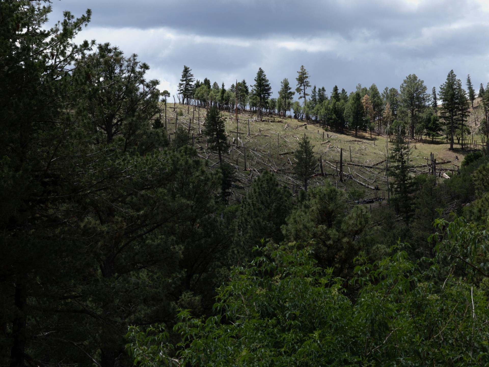 Image courtesy of www.aljazeera.com