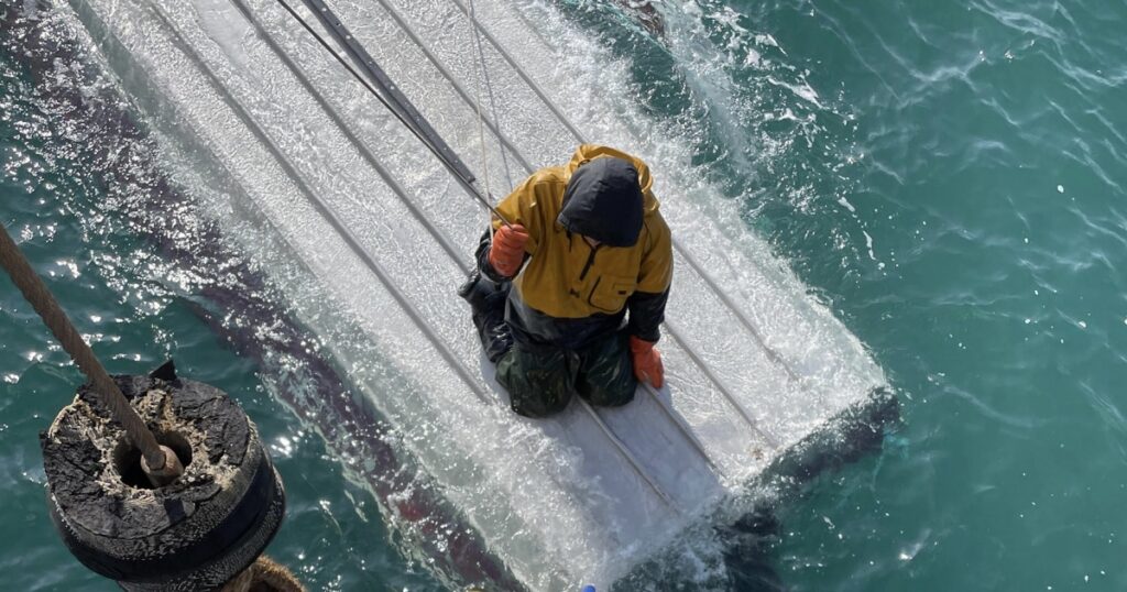 Image courtesy of media-cldnry.s-nbcnews.com