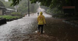 Image courtesy of media-cldnry.s-nbcnews.com