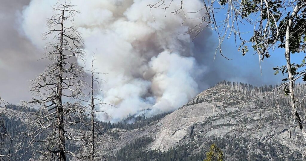 Image courtesy of media-cldnry.s-nbcnews.com
