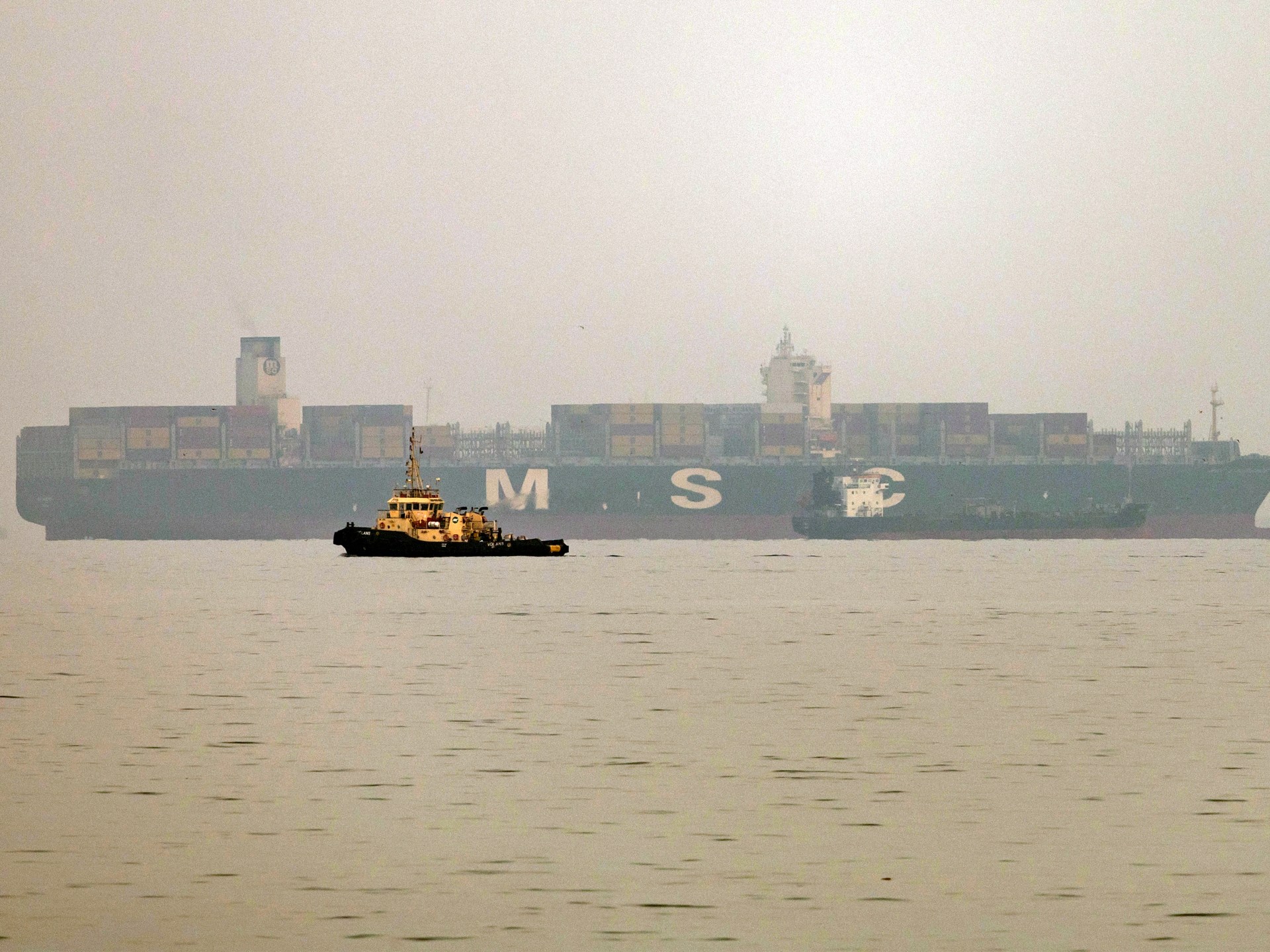 Image courtesy of www.aljazeera.com